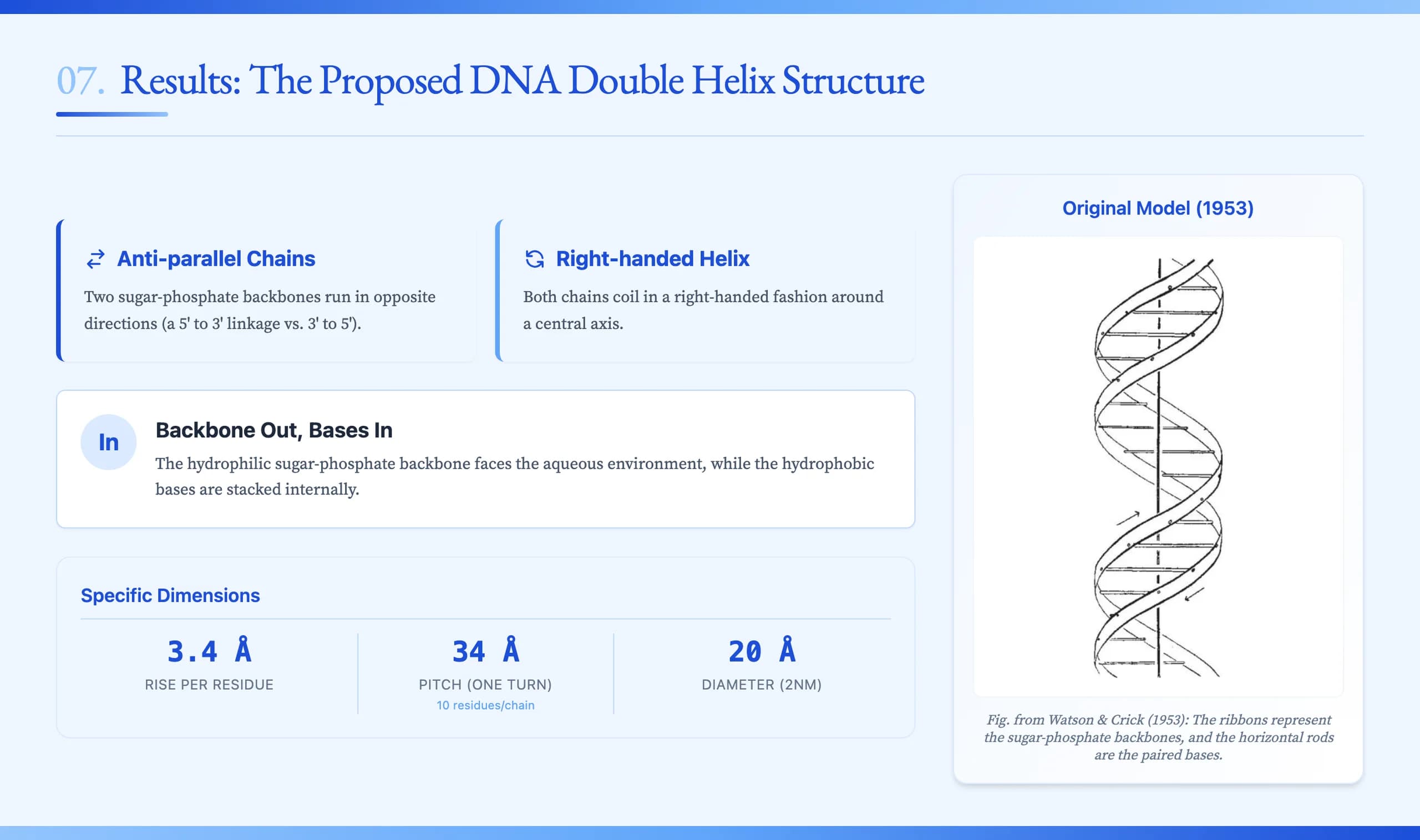 Cambridge Blue Classical Academic Presentation Template — Slide 7