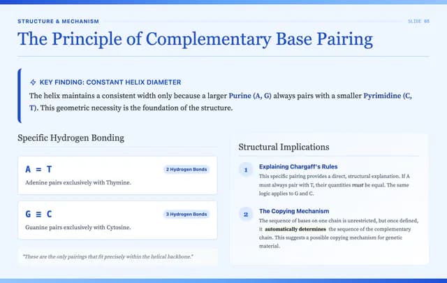 Cambridge Blue Classical Academic Presentation Template — Slide 8