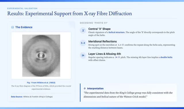 Cambridge Blue Classical Academic Presentation Template — Slide 9