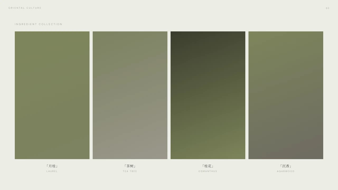 Folio Sage Oriental Editorial Brand Lookbook Template — Slide 4