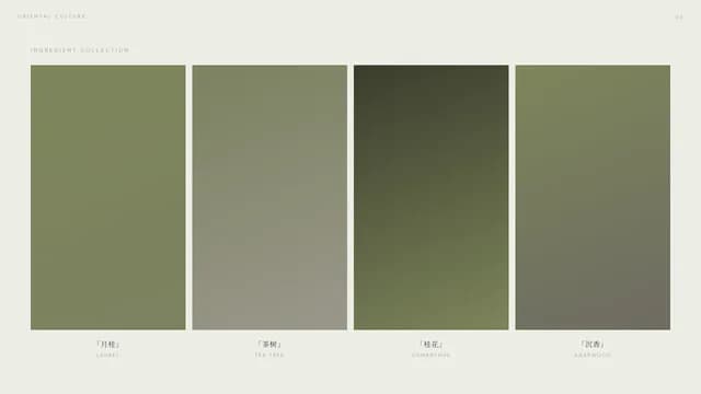 Folio Sage Oriental Editorial Brand Lookbook Template — Slide 4