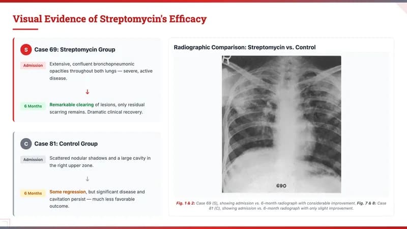 MIT Tech Red Engineering & Academic Presentation Template — Slide 6