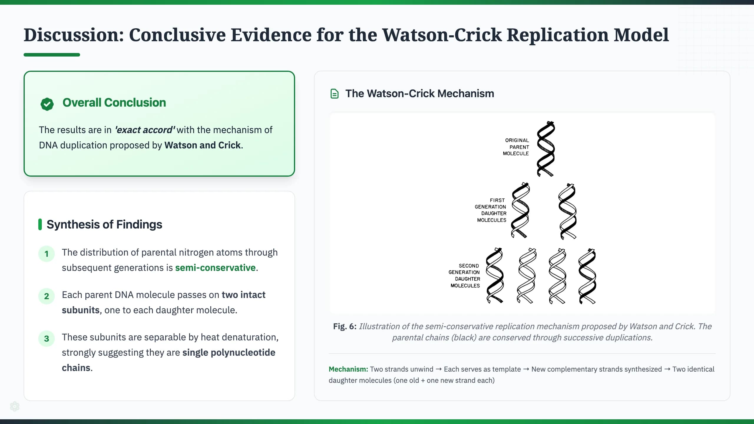 Nature Science Academic Editorial Presentation Template — Slide 10