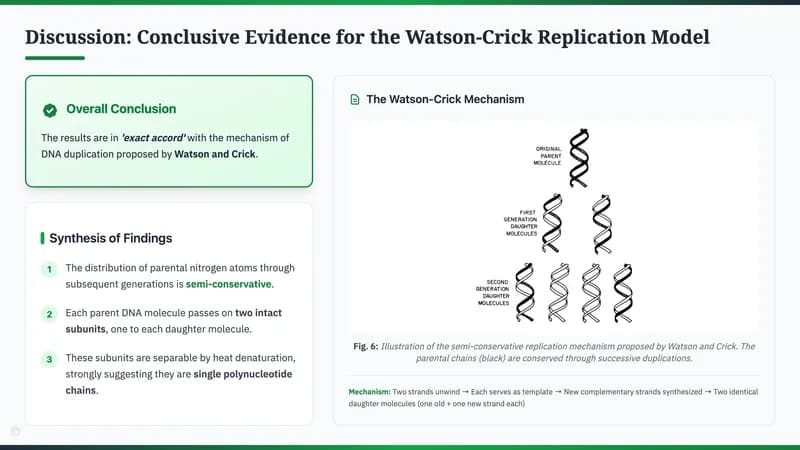 Nature Science Academic Editorial Presentation Template — Slide 10