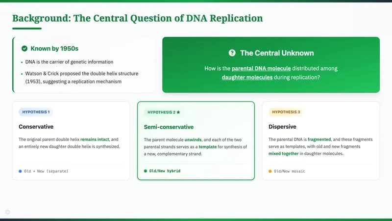 Nature Science Academic Editorial Presentation Template — Slide 2