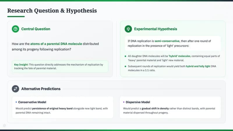Nature Science Academic Editorial Presentation Template — Slide 3