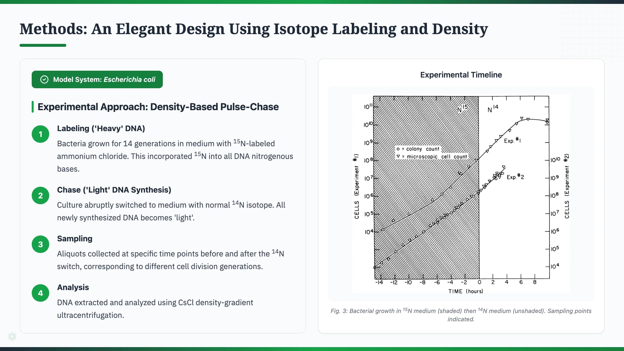 Nature Science Academic Editorial Presentation Template — Slide 4