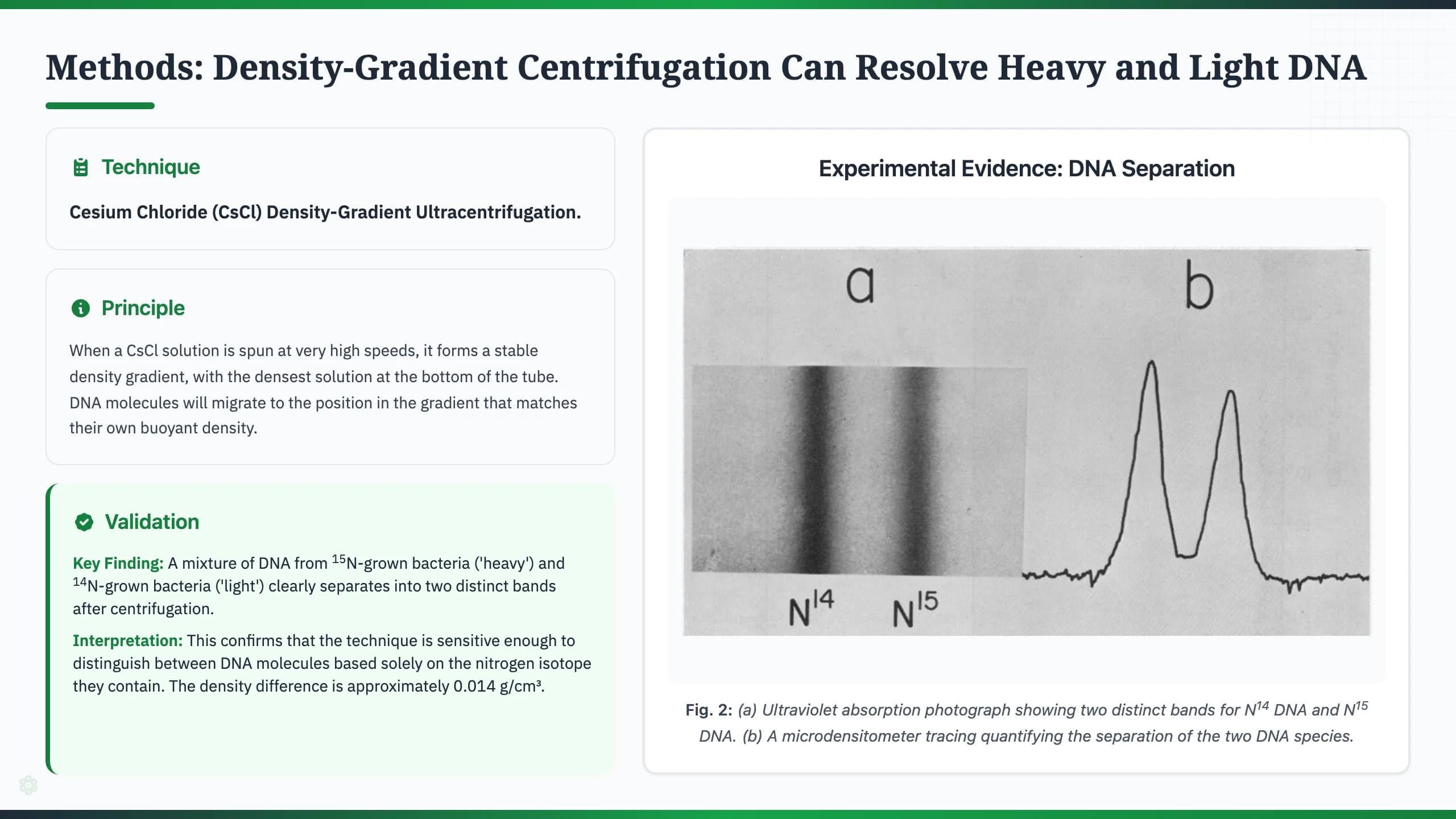 Nature Science Academic Editorial Presentation Template — Slide 5