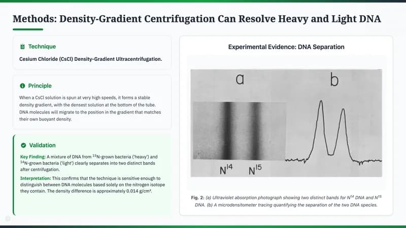 Nature Science Academic Editorial Presentation Template — Slide 5