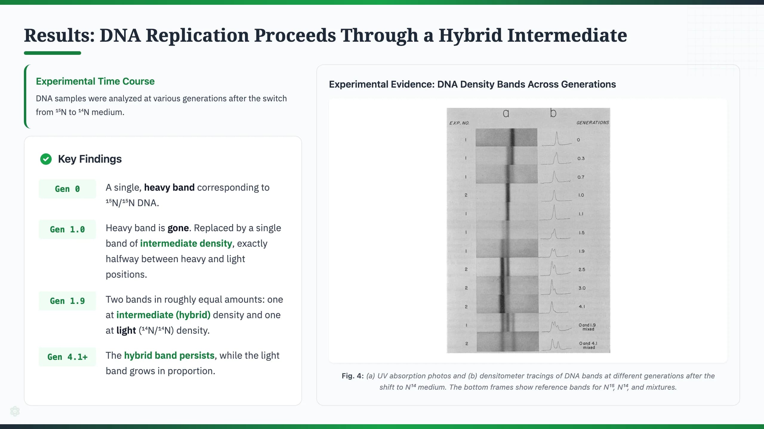 Nature Science Academic Editorial Presentation Template — Slide 6