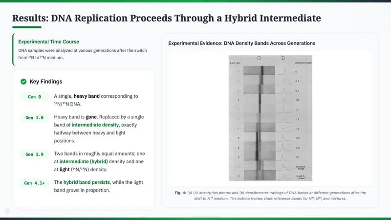 Nature Science Academic Editorial Presentation Template — Slide 6