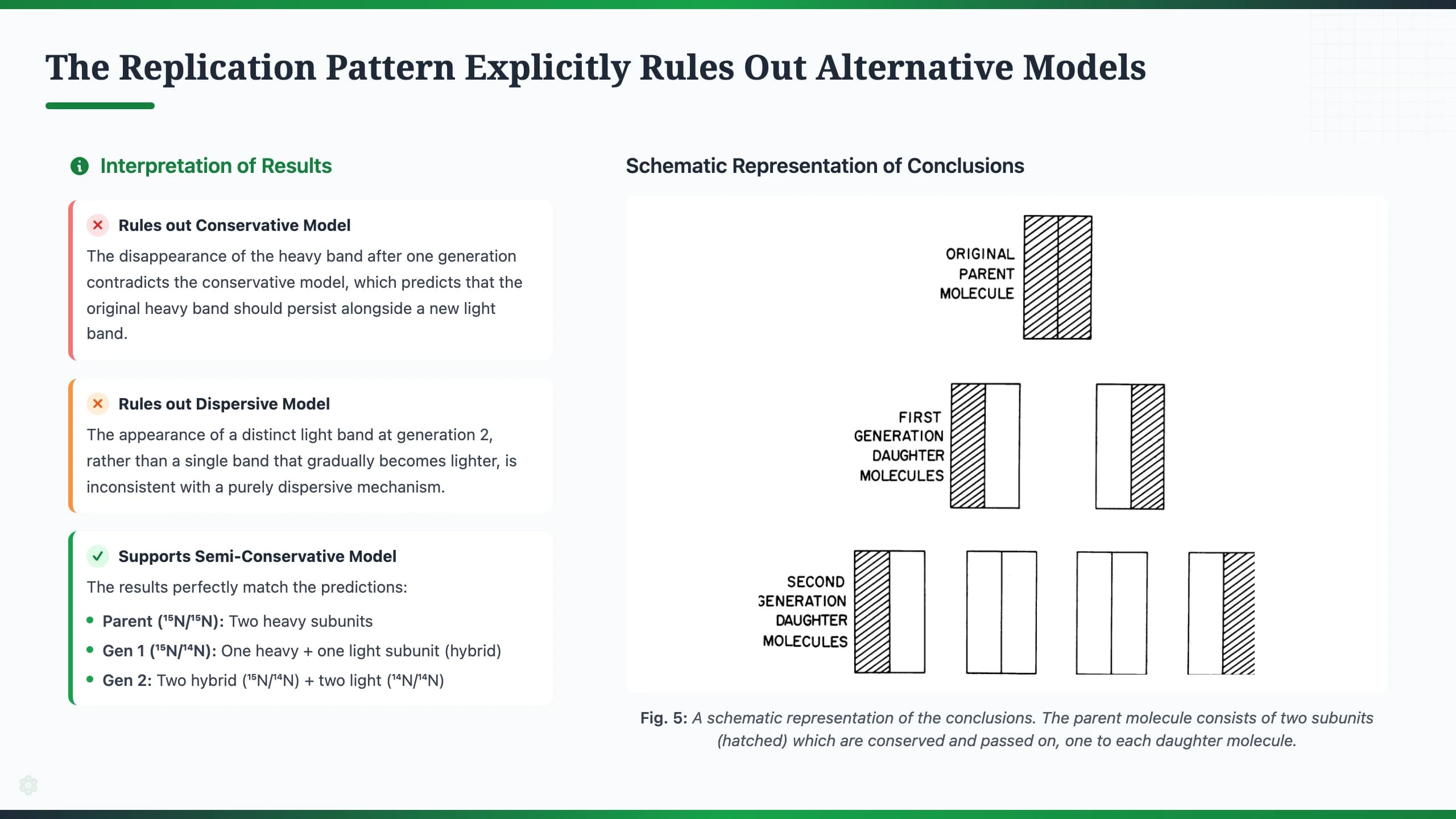 Nature Science Academic Editorial Presentation Template — Slide 7