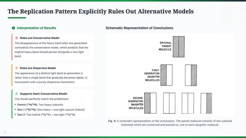 Nature Science Academic Editorial Presentation Template — Slide 7