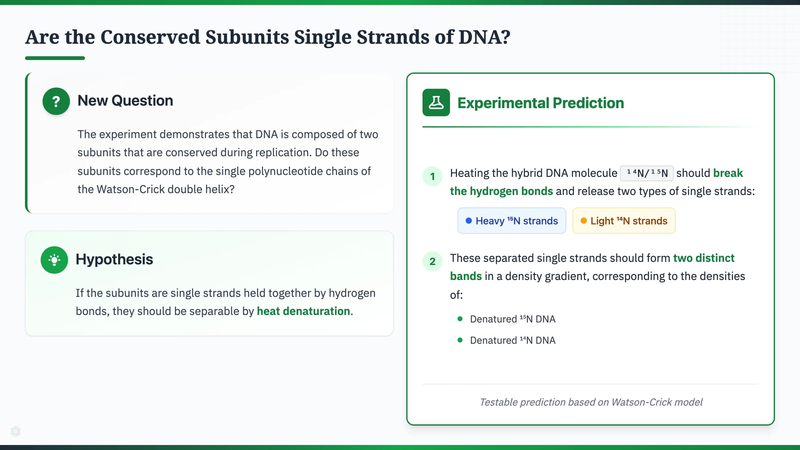 Nature Science Academic Editorial Presentation Template — Slide 8