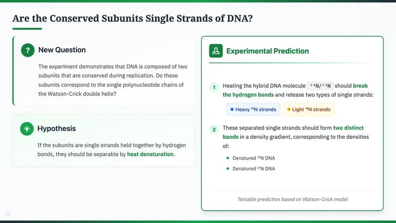 Nature Science Academic Editorial Presentation Template — Slide 8