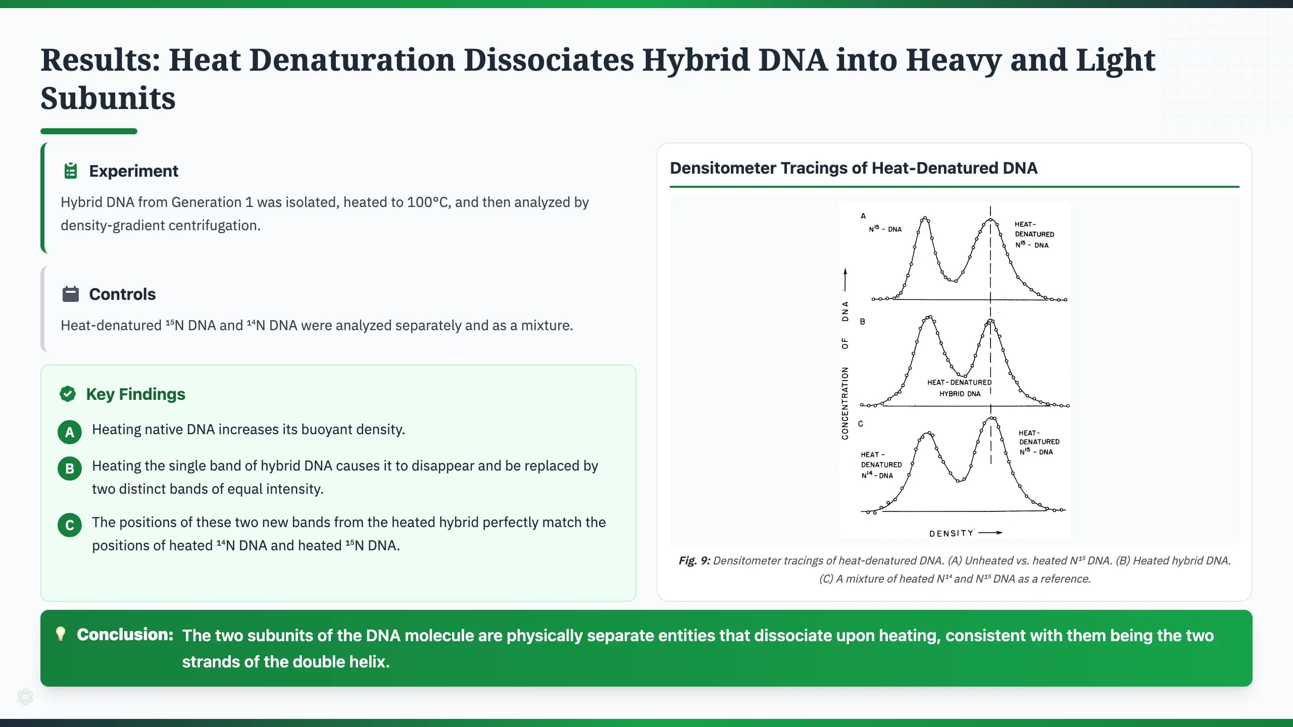Nature Science Academic Editorial Presentation Template — Slide 9
