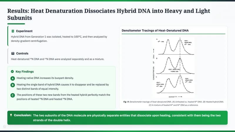 Nature Science Academic Editorial Presentation Template — Slide 9