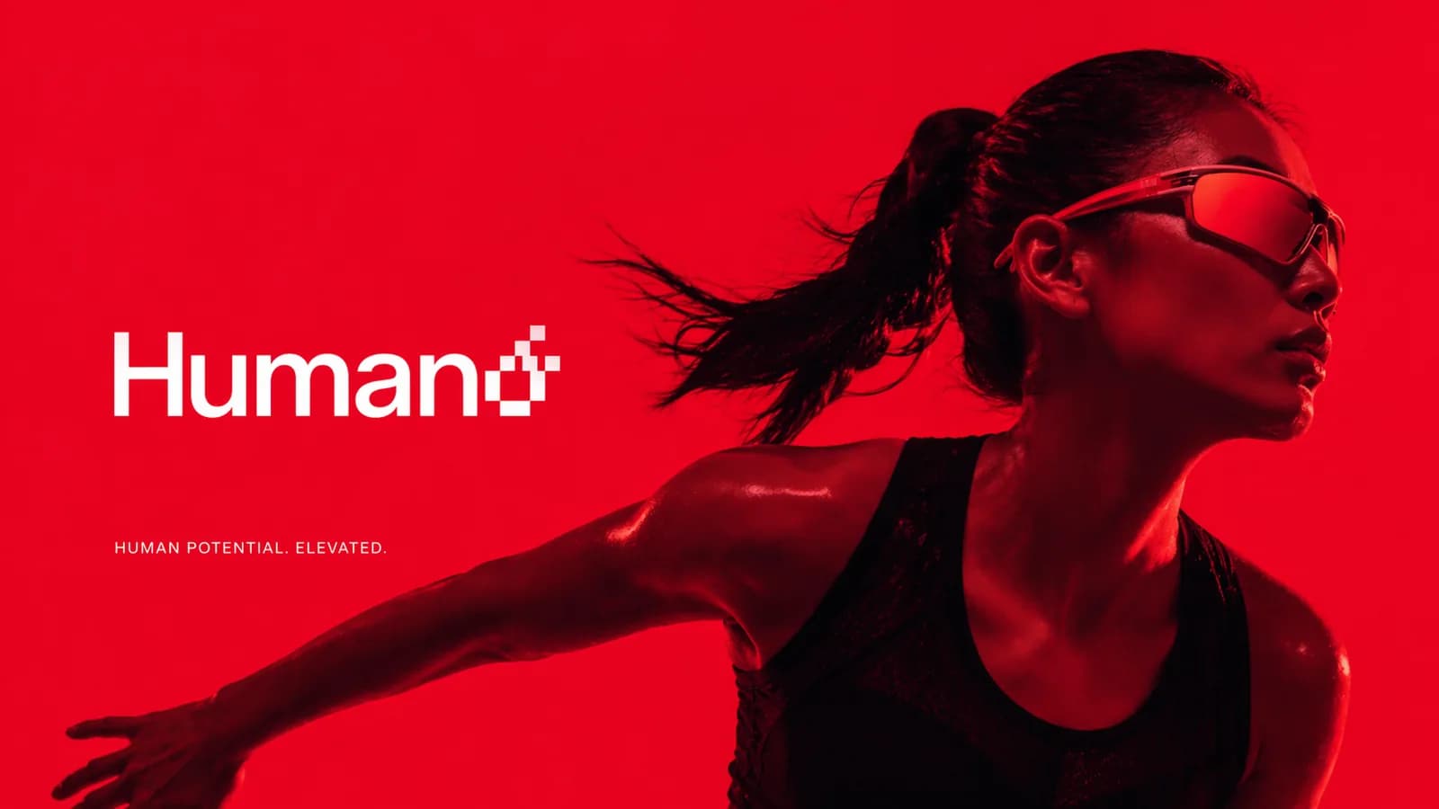 Brand Identity Pitch Humano