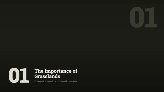 Steppe Dossier: Dark Slab-Serif Conservation Template — Slide 3