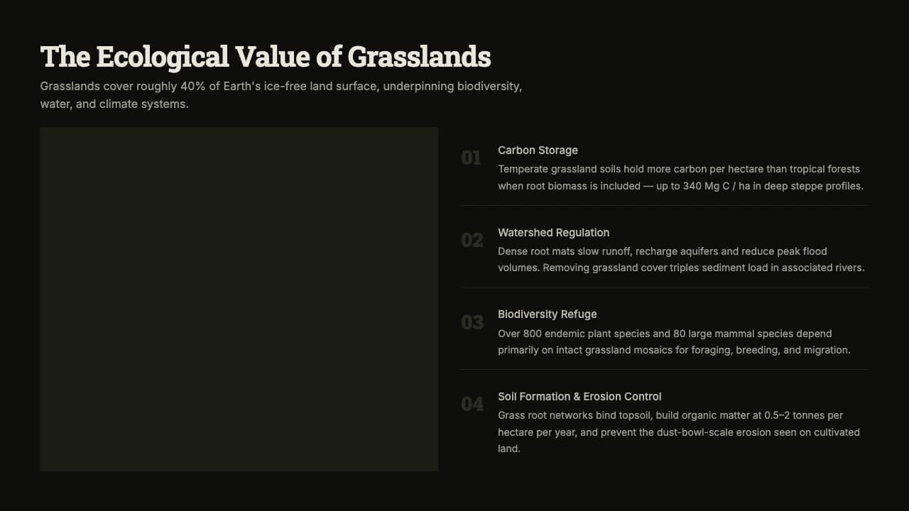 Steppe Dossier: Dark Slab-Serif Conservation Template — Slide 4
