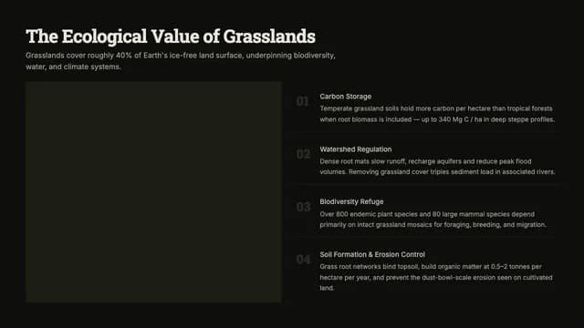Steppe Dossier: Dark Slab-Serif Conservation Template — Slide 4