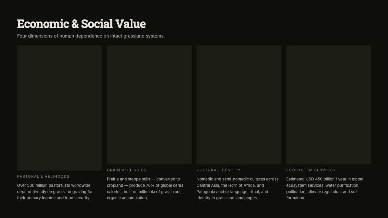 Steppe Dossier: Dark Slab-Serif Conservation Template — Slide 5