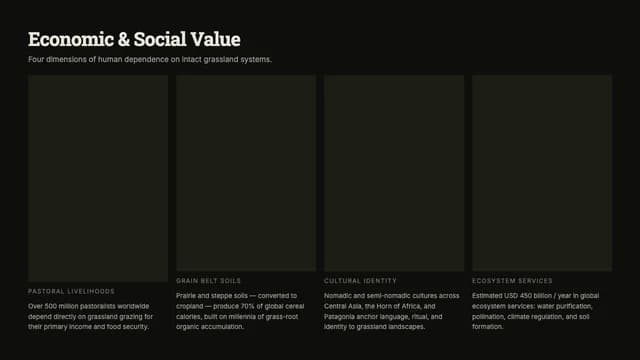 Steppe Dossier: Dark Slab-Serif Conservation Template — Slide 5