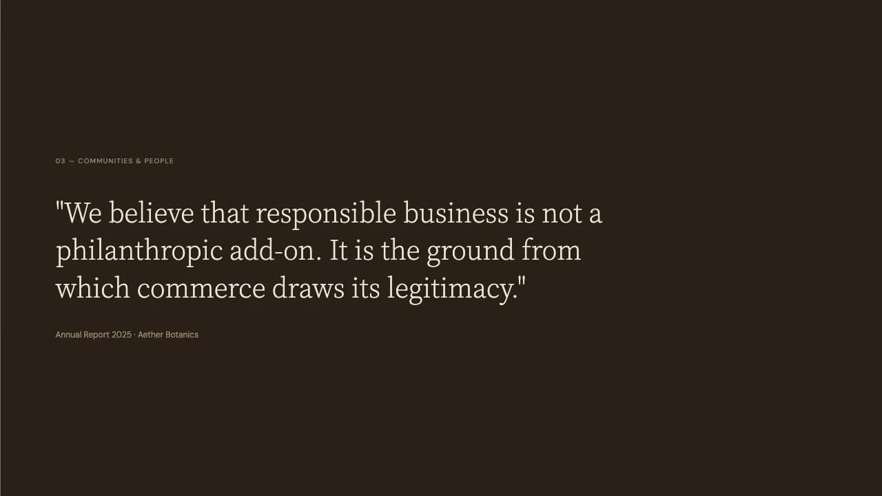 Vetiver Earth Tone Editorial Annual Report Template — Slide 5