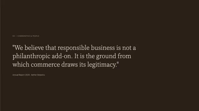 Vetiver Earth Tone Editorial Annual Report Template — Slide 5