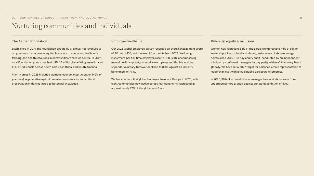 Vetiver Earth Tone Editorial Annual Report Template — Slide 6