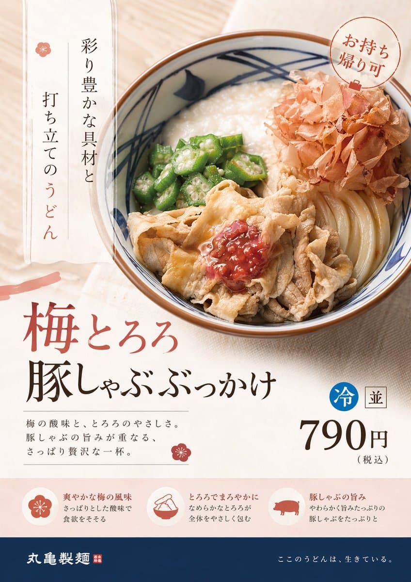 Redesign this product advertisement from the perspective of a p…